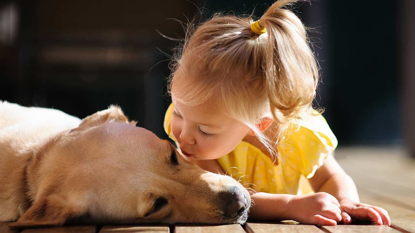 Stunning and Unique Demos